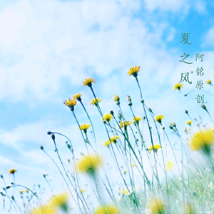 苍老师第6集更新了多少集
