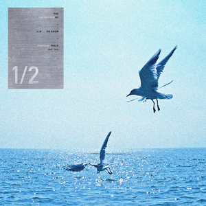 苍老师第6集更新了多少集
