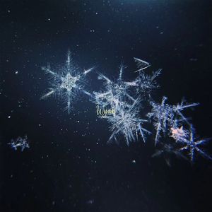 苍老师第6集更新了多少集
