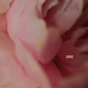 苍老师第6集更新了多少集
